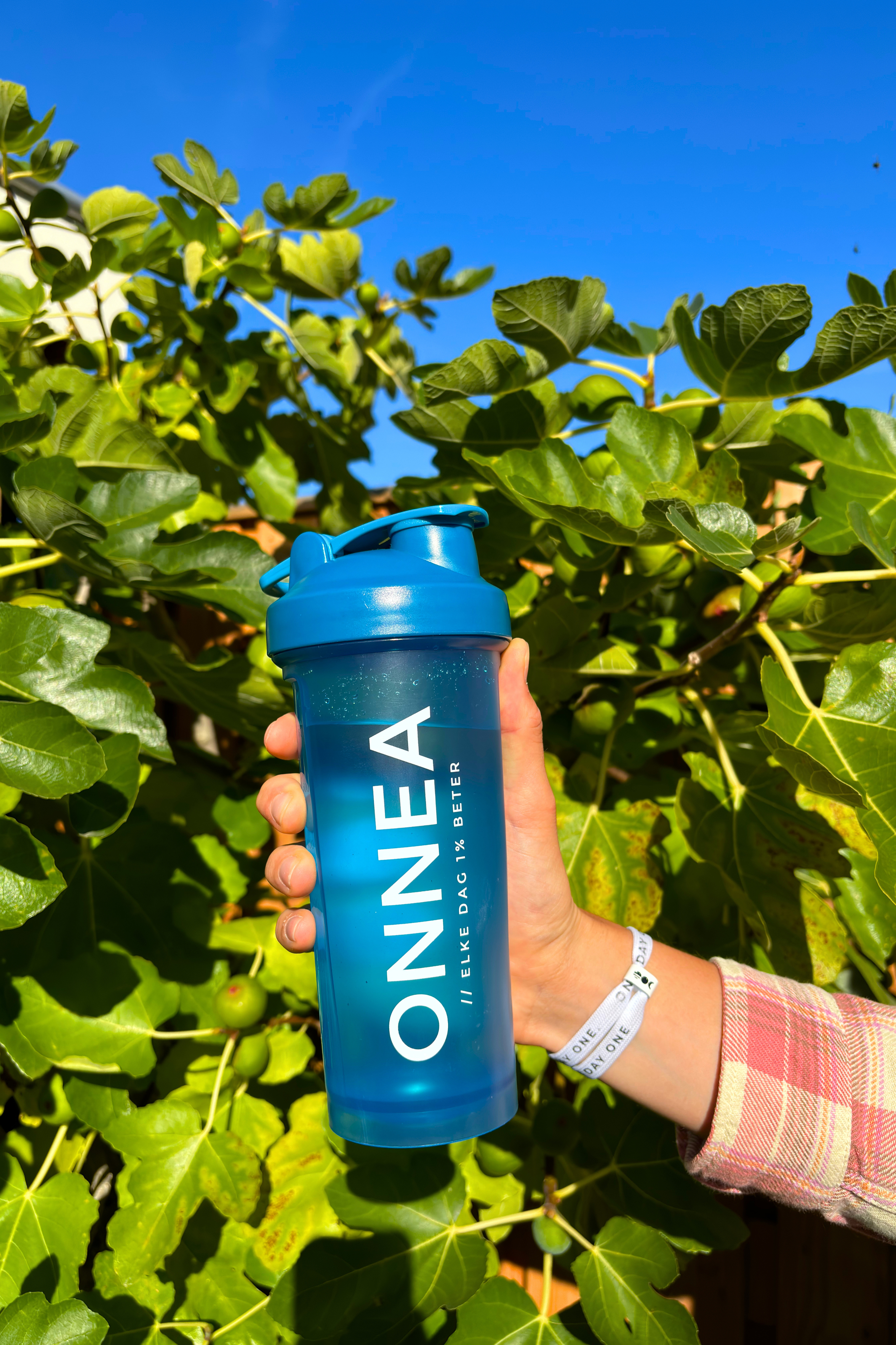 Onnea Gym Kit Onnea