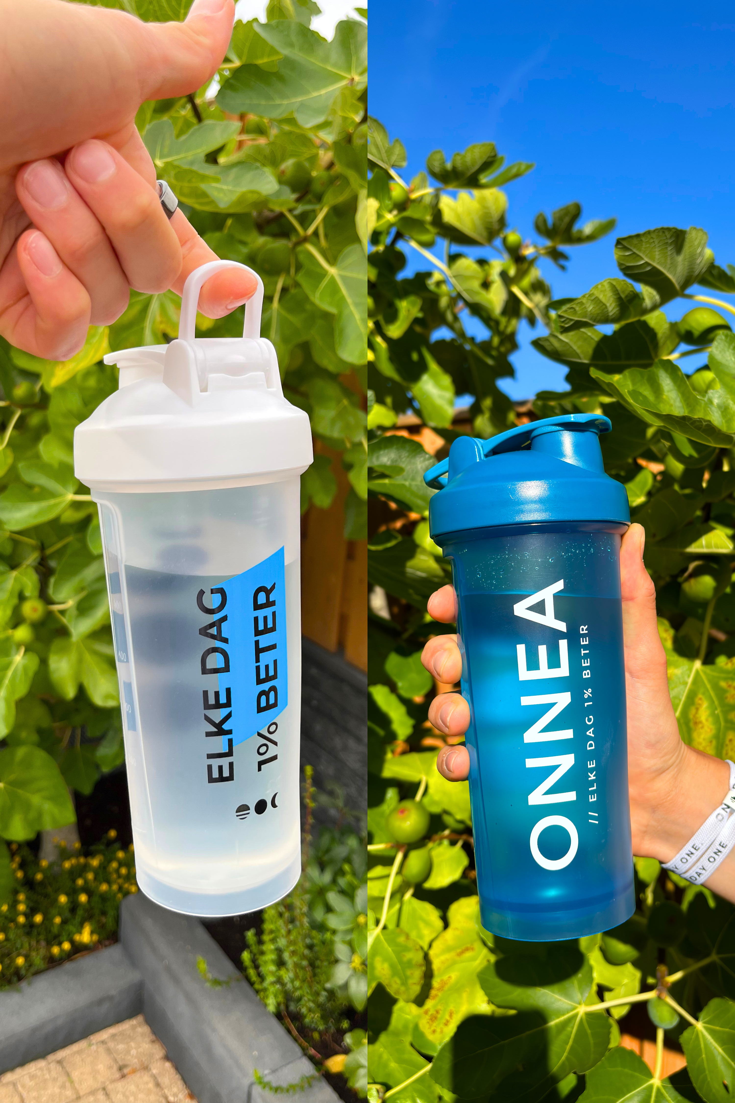 Shaker combi Onnea