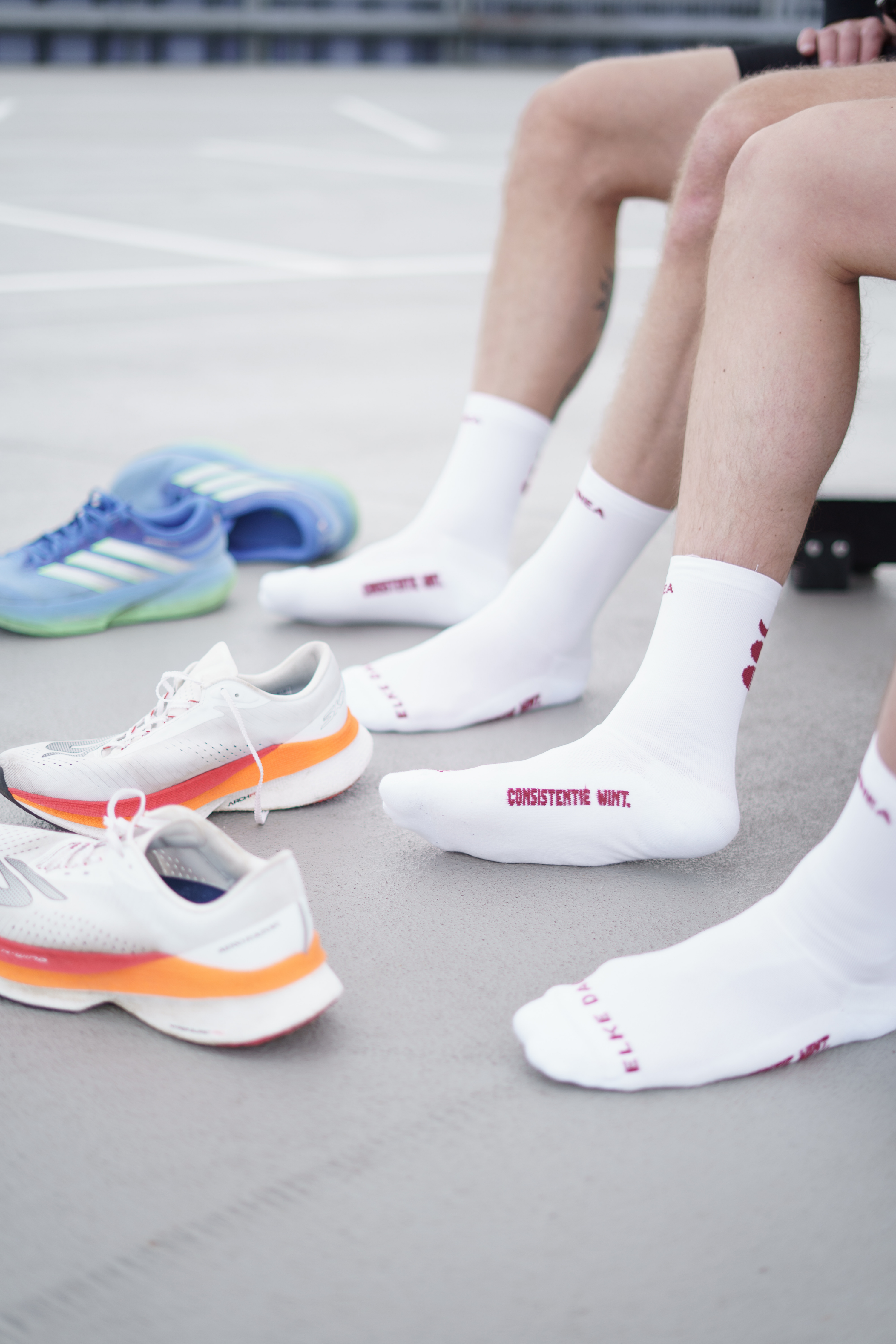 ONNEA PERFORMANCE SOKKEN | GRIJS & BORDEAUX Onnea